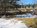 IMG_2333